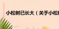 小松樹已長大(關于小松樹已長大簡介)