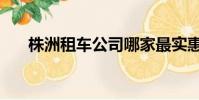 株洲租車公司哪家最實惠(株洲租車)