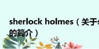 sherlock holmes(關于sherlock holmes的簡介)