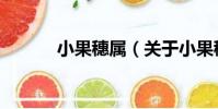 小果穗屬(關于小果穗屬簡介)
