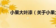 小果大葉漆(關于小果大葉漆簡介)