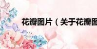 花瓣圖片(關于花瓣圖片的簡介)