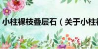 小柱裸枝疊層石(關于小柱裸枝疊層石簡介)