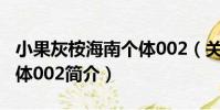 小果灰桉海南個體002(關于小果灰桉海南個體002簡介)
