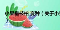 小果垂枝柏 變種(關于小果垂枝柏 變種簡介)