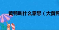 黃鴨叫什么意思(大黃鴨是什么意思)