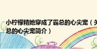 小檸檬精她穿成了霸總的心尖寵(關于小檸檬精她穿成了霸總的心尖寵簡介)