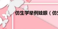 仿生學舉例娃眼(仿生學舉例)