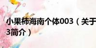 小果柿海南個體003(關于小果柿海南個體003簡介)