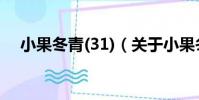 小果冬青(31)(關于小果冬青(31)簡介)