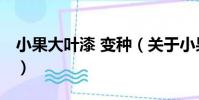 小果大葉漆 變種(關于小果大葉漆 變種簡介)