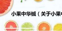 小果中華槭(關于小果中華槭簡介)