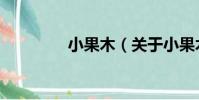 小果木(關于小果木簡介)