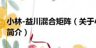 小林-益川混合矩陣(關于小林-益川混合矩陣簡介)