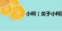 小柯(關于小柯簡介)