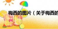 梅西的圖片(關于梅西的圖片的簡介)