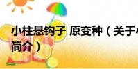 小柱懸鉤子 原變種(關于小柱懸鉤子 原變種簡介)