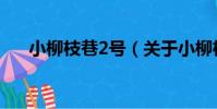 小柳枝巷2號(關于小柳枝巷2號簡介)
