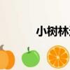 小樹林邊（關于小樹林邊簡介）