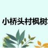 小橋頭村楓樹塢（關于小橋頭村楓樹塢簡介）