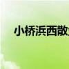 小橋浜西散盤（關于小橋浜西散盤簡介）