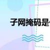 子網掩碼是什么意思（子網掩碼是什么）