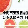 小樹苗寶寶啟蒙第1書·認知學習 上（關于小樹苗寶寶啟蒙第1書·認知學習 上簡介）