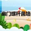 幽門螺桿菌培養（關于幽門螺桿菌培養介紹）