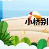 小橋別院（關于小橋別院簡介）