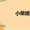 小柴胡湯（關于小柴胡湯簡介）