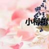 小柳樹溝（關于小柳樹溝簡介）
