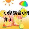 小柴胡合小陷胸湯（關于小柴胡合小陷胸湯簡介）
