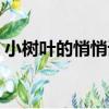 小樹葉的悄悄話（關于小樹葉的悄悄話簡介）
