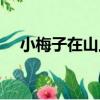小梅子在山上（關于小梅子在山上簡介）