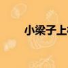 小梁子上村（關于小梁子上村簡介）