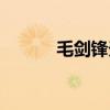 毛劍鋒天津財經大學（毛劍鋒）