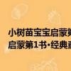 小樹苗寶寶啟蒙第1書·經典童話：丑小鴨（關于小樹苗寶寶啟蒙第1書·經典童話：丑小鴨簡介）