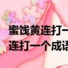蜜餞黃連打一個成語蹺蹺板打一成語（蜜餞黃連打一個成語）