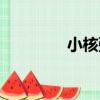 小核彈（關于小核彈簡介）