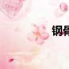 鋼骨（關于鋼骨的簡介）