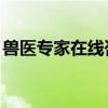 獸醫專家在線咨詢,烏龜（獸醫專家在線咨詢）