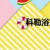 科勒浴室柜圖片（科勒浴室柜）
