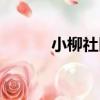 小柳社區（關于小柳社區簡介）