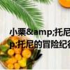 小栗&托尼的冒險紀行：來去夏威夷（關于小栗&托尼的冒險紀行：來去夏威夷簡介）