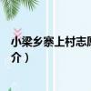小梁鄉寨上村志愿服務隊（關于小梁鄉寨上村志愿服務隊簡介）