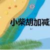 小柴胡加減湯（關于小柴胡加減湯簡介）