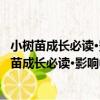 小樹苗成長必讀·影響中國孩子的200個童話故事（關于小樹苗成長必讀·影響中國孩子的200個童話故事簡介）