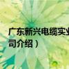 廣東新興電纜實業有限公司（關于廣東新興電纜實業有限公司介紹）