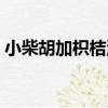 小柴胡加枳桔湯（關于小柴胡加枳桔湯簡介）