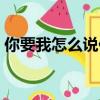 你要我怎么說你要我怎么做（你要我怎么做）